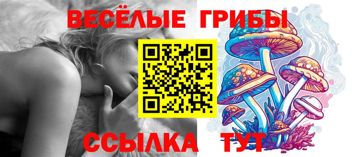 Псилоцибиновые грибы Magic Shrooms Протвино