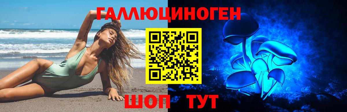 Протвино  Псилоцибиновые грибы прущие грибы  Вход с VPN 